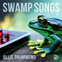 PREMIERE: Ollie Drummond - Swamp Song [Analytic Records]
