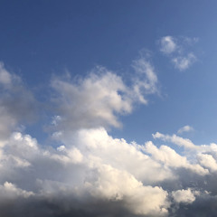 Sunflower-Orangestar feat.夏背