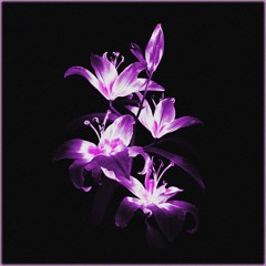 NARCOTIC VENUS