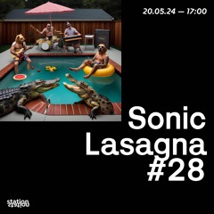 Sonic Lasagna #28