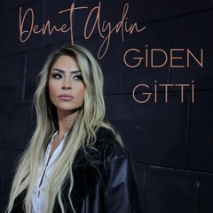 Gİden Gitti