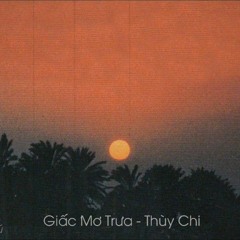 Giấc Mơ Trưa - Thùy Chi (Duz Remix)