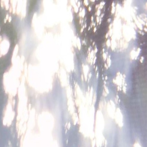 today can mean everything [heartsodull + og]