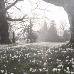 ◜｡♪ ♫7390173🪾🌸 ̇̇ ꒷ ˚🌨️🏚️˚💬 ⁎ ˳