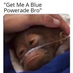 oh sees failed cover by butik americana 2019