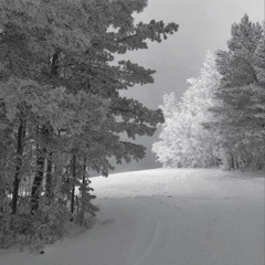 think u know w/suwakonem (luvendz suwakonem)