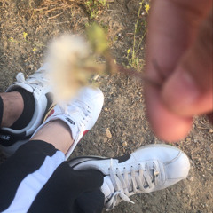 I Deleted Our Pictures Today (Poem)