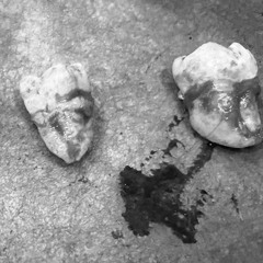 время суда: /Podcast !3.