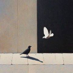Shadow