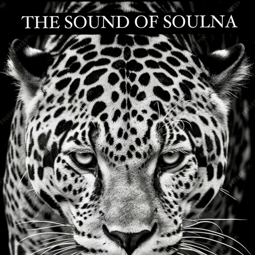 The Sound Of Soulna "Resonancias" by Victor Frances