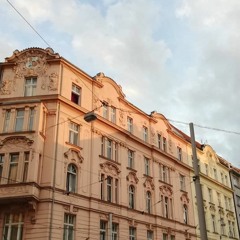 Sunshine Bouquet (w/ mila)