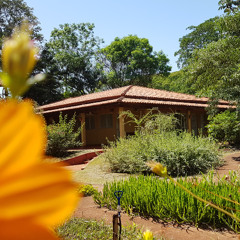 26.12.2025 - Cap. XXV - Buscai e Achareis - Observai os Pássaros do Céu (12)