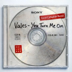 PREMIERE: Vales - You Turn Me On [Steve Callaghan Remix] [2025]