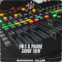 BC131 // FM-3 & Pavane - Sound Them