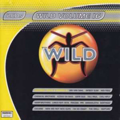 WILD Vol. 16 - Megamix By Blizzard Brothers