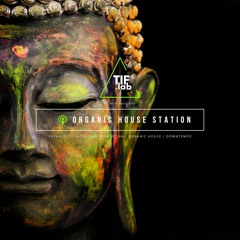 Zen Organic House. - Focus music <> Budha collection