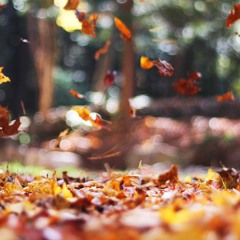 Rustling Leaves         (feat.  iHussain)