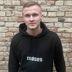 Møses
