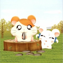 太鼓ウェブ - Hamtaro Tottokou Uta 2005 (Off vocal)