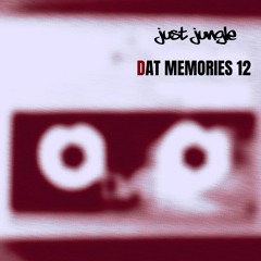 Just Jungle -  DAT Memories Vol 12 - G Lab