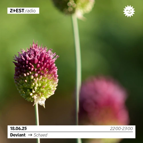 Deviant avec Schaed Soundcloud podcast image for
