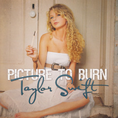 Picture To Burn (Studio Demo)