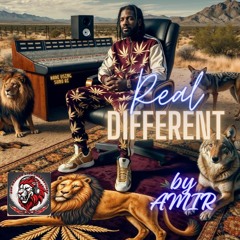 Real Different By AMIR (SUNO AI)