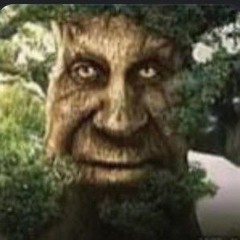 Пизда лупасит