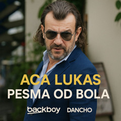 Aca Lukas - Pesma od bola (BackBoy x Dancho Redrum) [PITCHED BECAUSE COPYRIGHT]