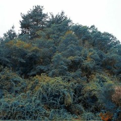 Transmisión radial Radio-Contulmo