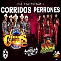 Corridos Perrones (plebito roofing presenta) Caciques vs Pumas del Norte