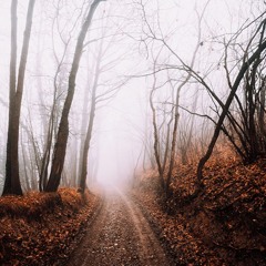 3 Hours - Tribal for Dinner 01