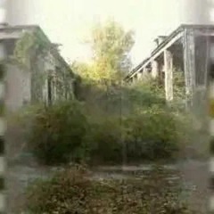 помоги их найти
