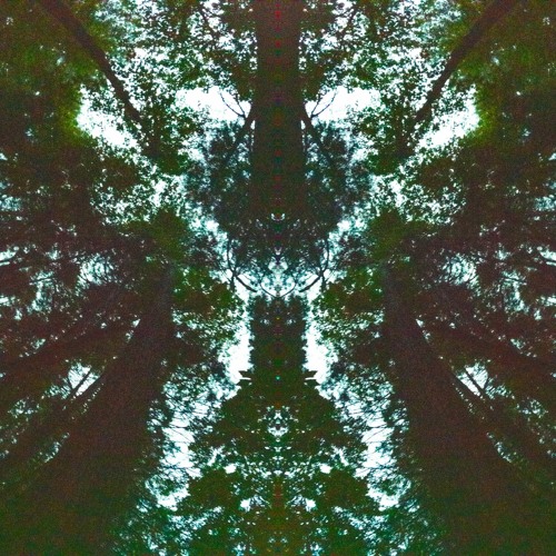 Psycristrance Set - Psybient Chillout Psychill Psydub & Bass Progressive