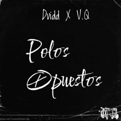 DVIDD x V.Q - Polos Opuestos