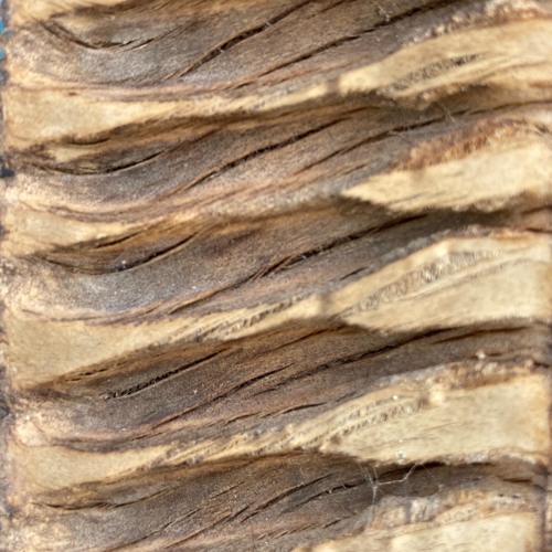 Allemande - Tanz