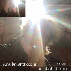 wildest dreams cover