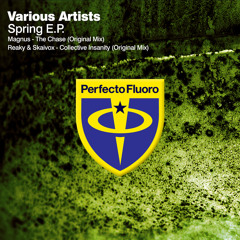 Collective Insanity (Original Mix)