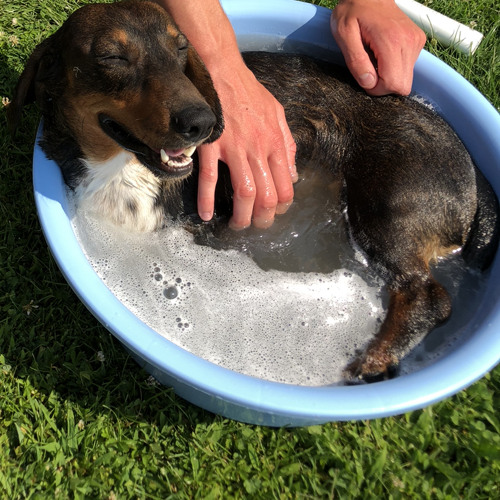 Dj Free x STRIKZ - Feel So Good.mp3