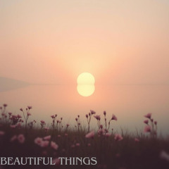 Beautiful Things