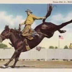 Cowboy Riden A Horse