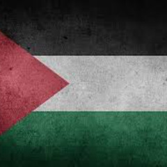 Israel Is Commiting Genocide