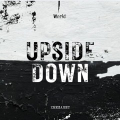 Upside Down World