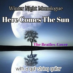 Here Comes The Sun - The Beatles cover (SOLO) with a gut-string guitar