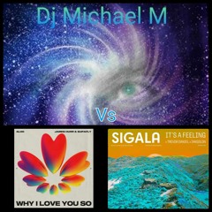 Why I Love You So Its A Feeling (ALOK Vs SIGALA)