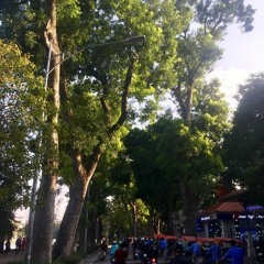 Hà Nội có phải là anh?