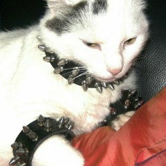 DJ CarlOtto - ACAB (all cats are beautifull) (150-170 bpm)