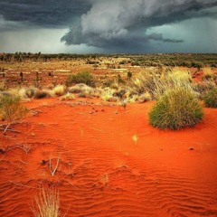 Trippin' On The Desert