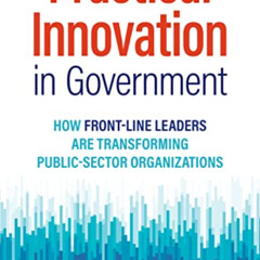 FREE PDF 📭 Practical Innovation in Government: How Front-Line Leaders Are Transformi