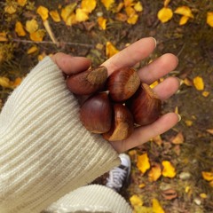 Châtaigne (Feat. fe)